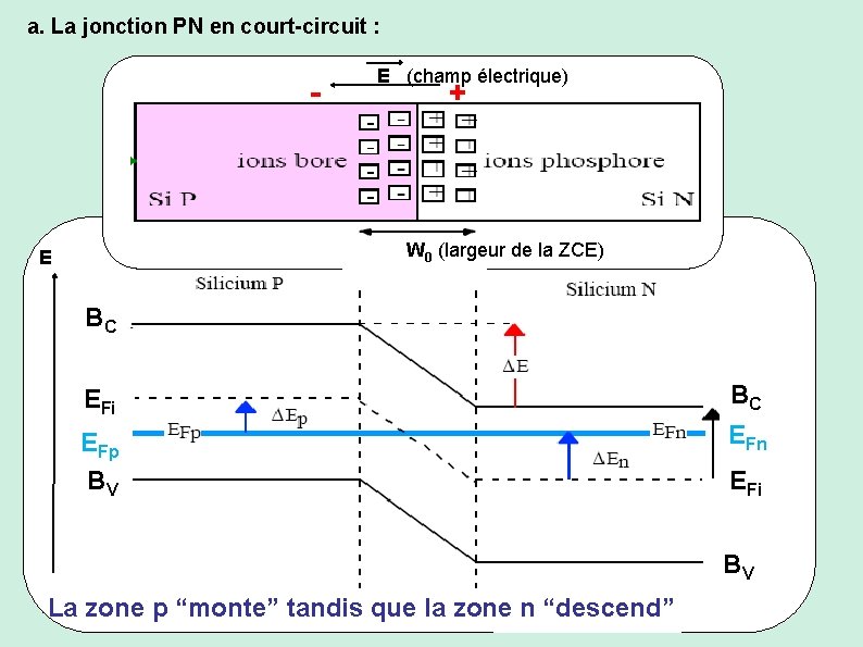 a. La jonction PN en court-circuit : - E (champ électrique) + W 0