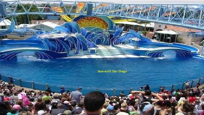 Seaworld San Diego 