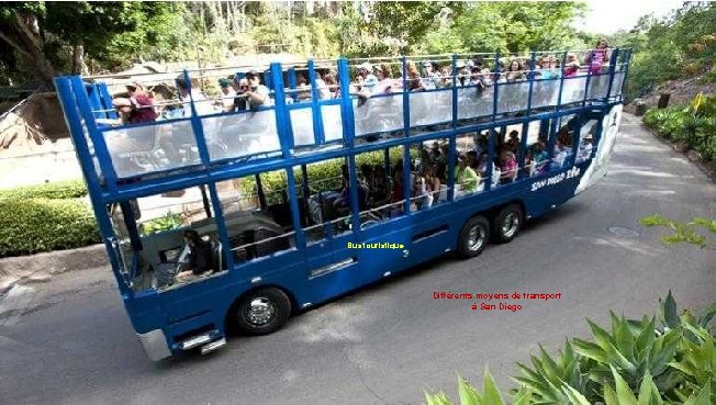 Bus touristique Différents moyens de transport à San Diego 