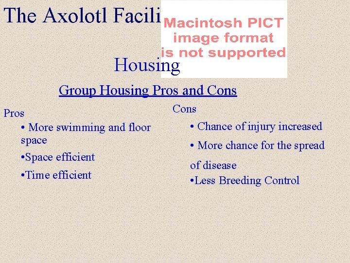 The Axolotl Facility Housing Group Housing Pros and Cons Pros • More swimming and