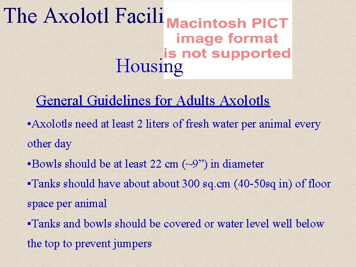 The Axolotl Facility Housing General Guidelines for Adults Axolotls • Axolotls need at least