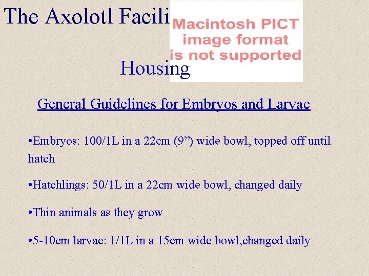 The Axolotl Facility Housing General Guidelines for Embryos and Larvae • Embryos: 100/1 L