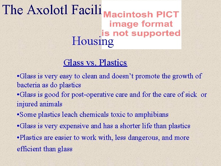 The Axolotl Facility Housing Glass vs. Plastics • Glass is very easy to clean