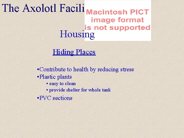 The Axolotl Facility Housing Hiding Places • Contribute to health by reducing stress •