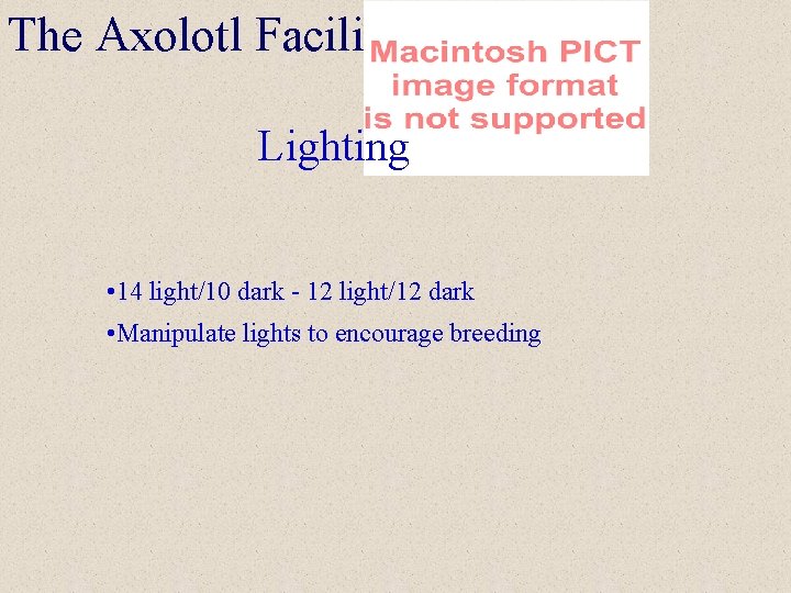The Axolotl Facility Lighting • 14 light/10 dark - 12 light/12 dark • Manipulate