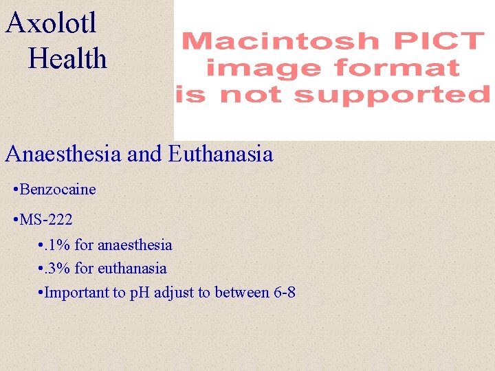 Axolotl Health Anaesthesia and Euthanasia • Benzocaine • MS-222 • . 1% for anaesthesia