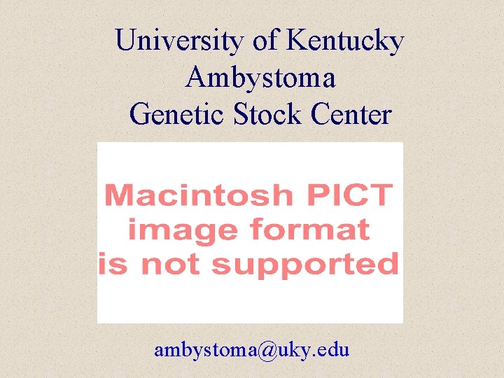 University of Kentucky Ambystoma Genetic Stock Center ambystoma@uky. edu 