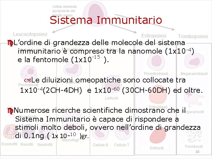 Sistema Immunitario L’ordine di grandezza delle molecole del sistema immunitario è compreso tra la