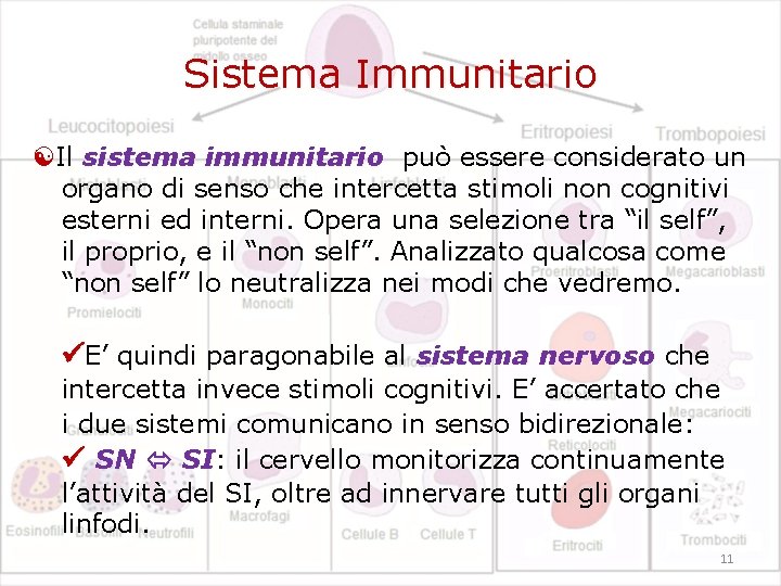 Sistema Immunitario Il sistema immunitario può essere considerato un organo di senso che intercetta