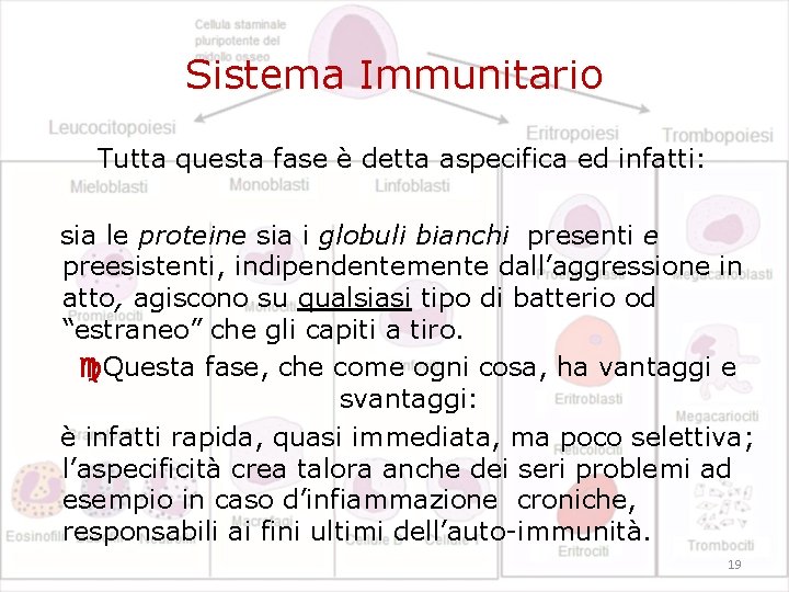 Sistema Immunitario Tutta questa fase è detta aspecifica ed infatti: sia le proteine sia