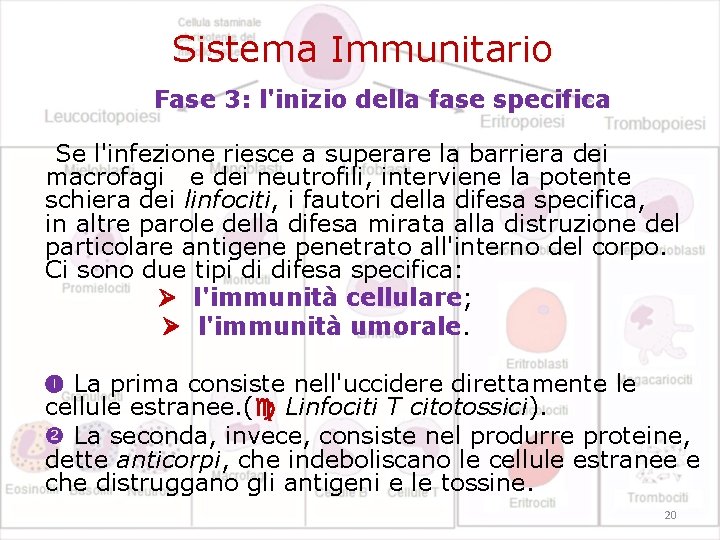Sistema Immunitario Fase 3: l'inizio della fase specifica Se l'infezione riesce a superare la