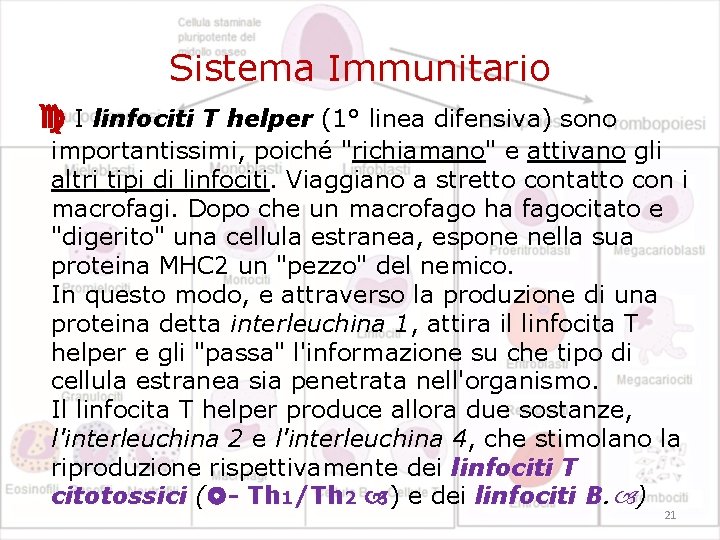 Sistema Immunitario I linfociti T helper (1° linea difensiva) sono importantissimi, poiché "richiamano" e