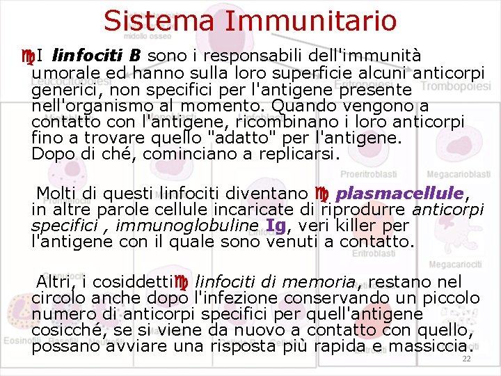Sistema Immunitario I linfociti B sono i responsabili dell'immunità umorale ed hanno sulla loro