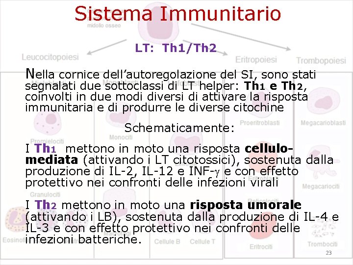 Sistema Immunitario LT: Th 1/Th 2 Nella cornice dell’autoregolazione del SI, sono stati segnalati