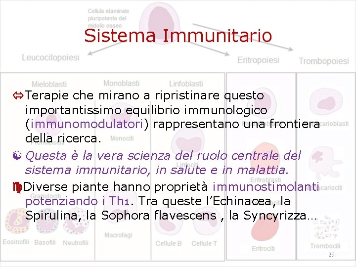 Sistema Immunitario Terapie che mirano a ripristinare questo importantissimo equilibrio immunologico (immunomodulatori) immunomodulatori rappresentano