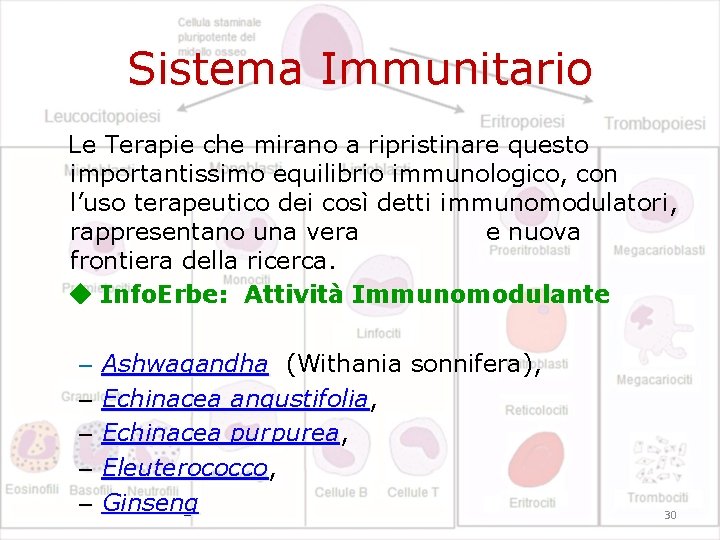 Sistema Immunitario Le Terapie che mirano a ripristinare questo importantissimo equilibrio immunologico, con l’uso