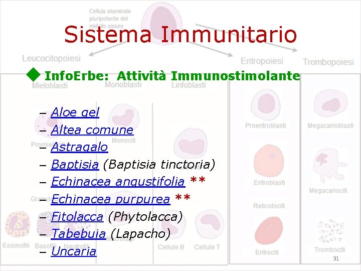 Sistema Immunitario Info. Erbe: – – – – – Attività Immunostimolante Aloe gel Altea