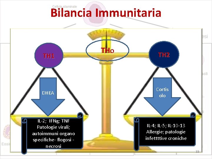 Bilancia Immunitaria TH 1 DHEA IL-2; IFNg; TNF Patologie virali; autoimmuni organo specifiche- flogosi