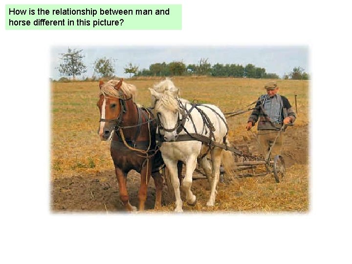 How is the relationship between man and horse different in this picture? 