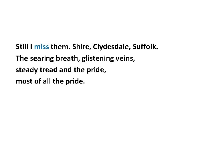 Still I miss them. Shire, Clydesdale, Suffolk. The searing breath, glistening veins, steady tread