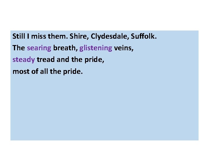 Still I miss them. Shire, Clydesdale, Suffolk. The searing breath, glistening veins, steady tread