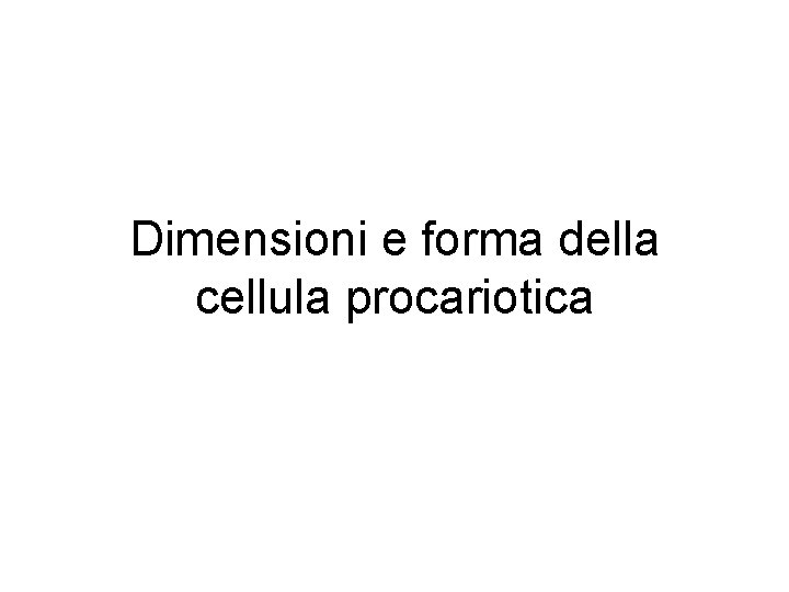 Dimensioni e forma della cellula procariotica 