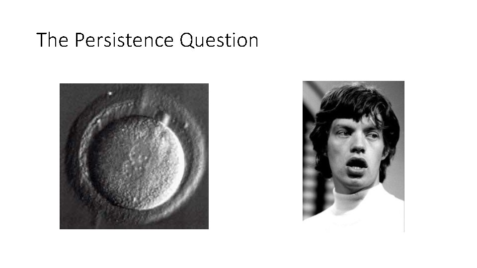 The Persistence Question 