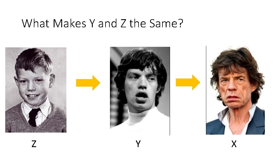 What Makes Y and Z the Same? Z Y X 