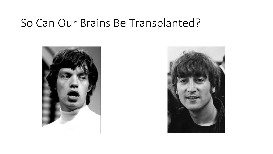 So Can Our Brains Be Transplanted? 