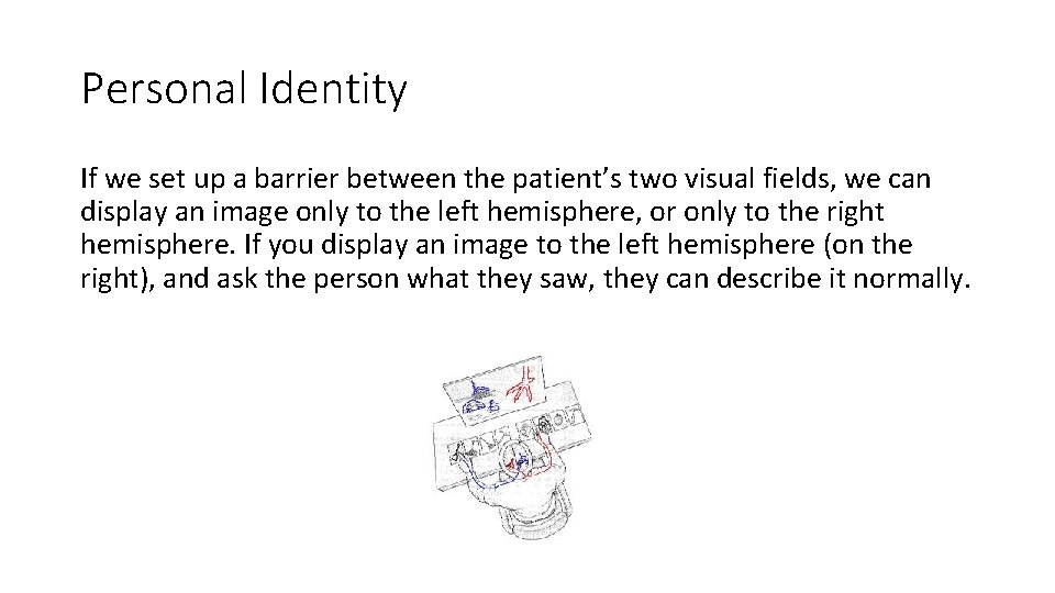 Personal Identity If we set up a barrier between the patient’s two visual fields,