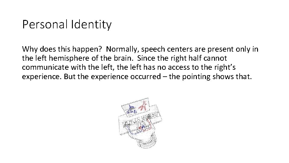 Personal Identity Why does this happen? Normally, speech centers are present only in the