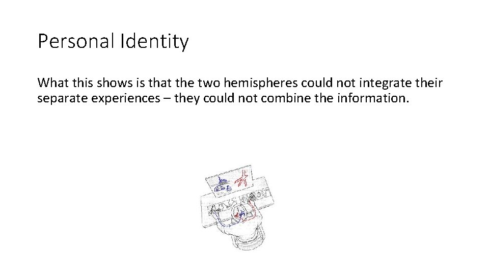 Personal Identity What this shows is that the two hemispheres could not integrate their