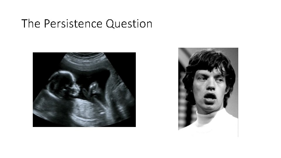 The Persistence Question 