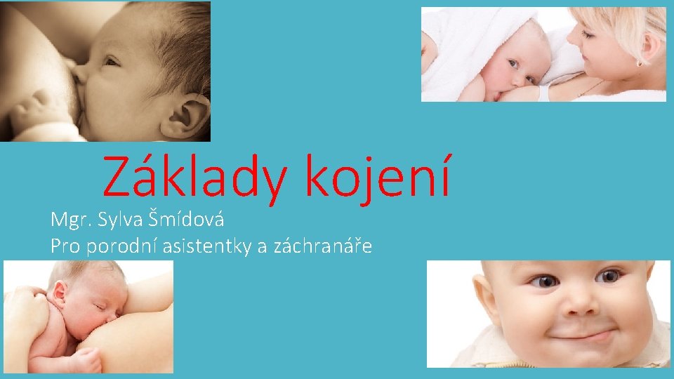 Základy kojení Mgr. Sylva Šmídová Pro porodní asistentky a záchranáře 