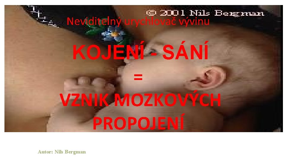 Neviditelný urychlovač vývinu KOJENÍ - SÁNÍ = VZNIK MOZKOVÝCH PROPOJENÍ Autor: Nils Bergman 