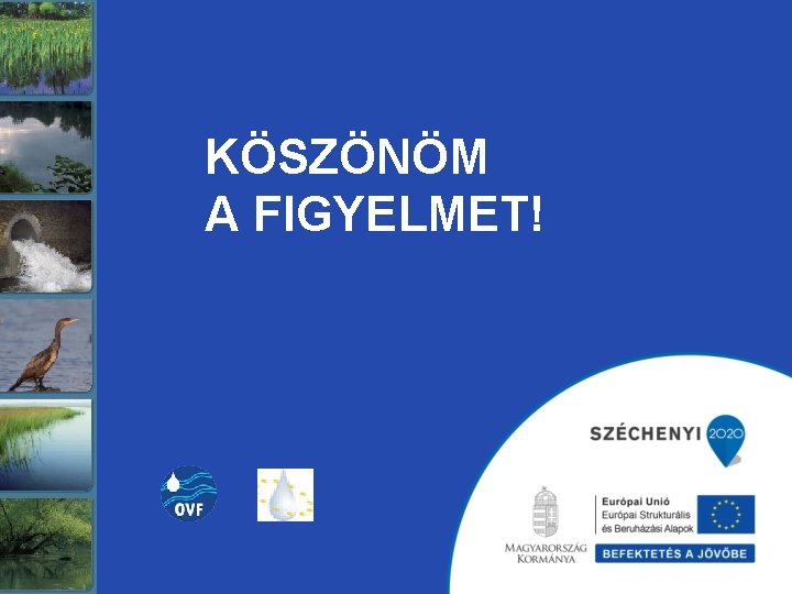 KÖSZÖNÖM A FIGYELMET! KÖSZÖNÖM A FIGYELMET!