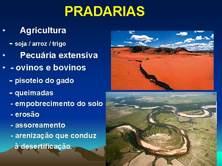 PRADARIAS • Agricultura - soja / arroz / trigo • Pecuária extensiva • -