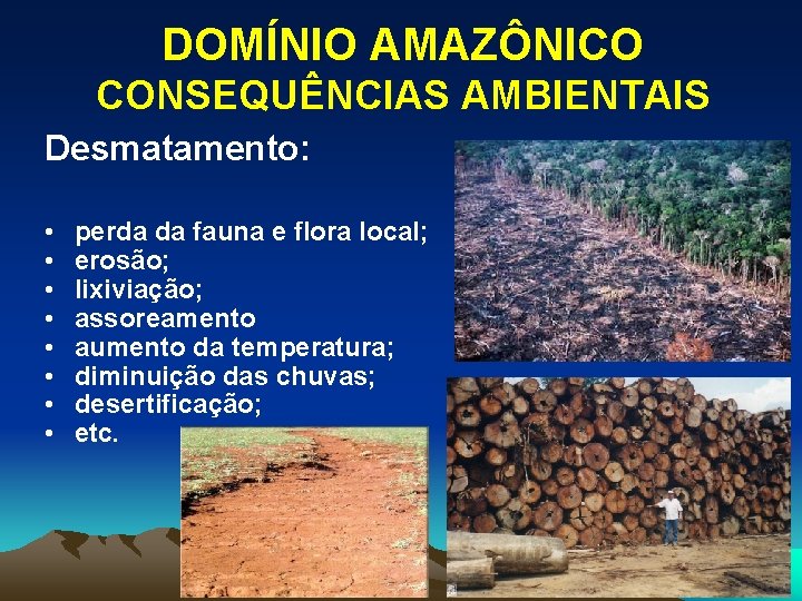 DOMÍNIO AMAZÔNICO CONSEQUÊNCIAS AMBIENTAIS Desmatamento: • • perda da fauna e flora local; erosão;