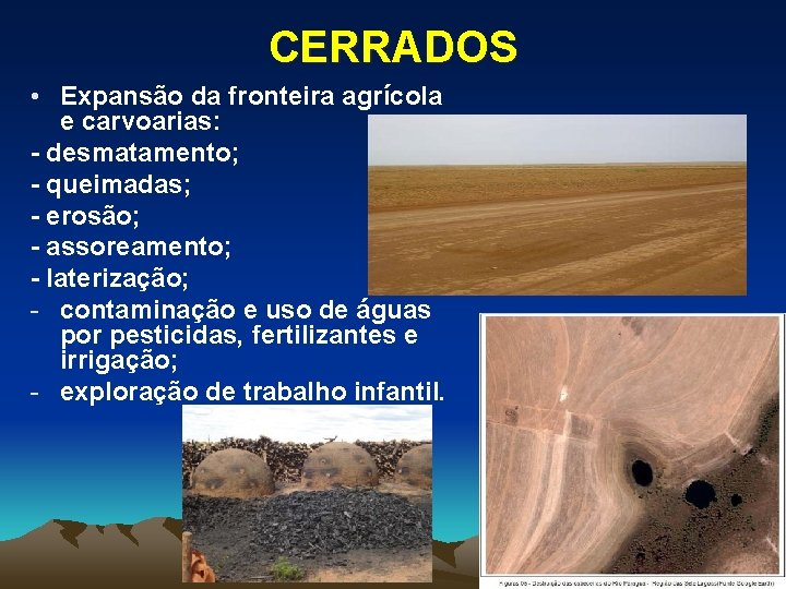 CERRADOS • Expansão da fronteira agrícola e carvoarias: - desmatamento; - queimadas; - erosão;