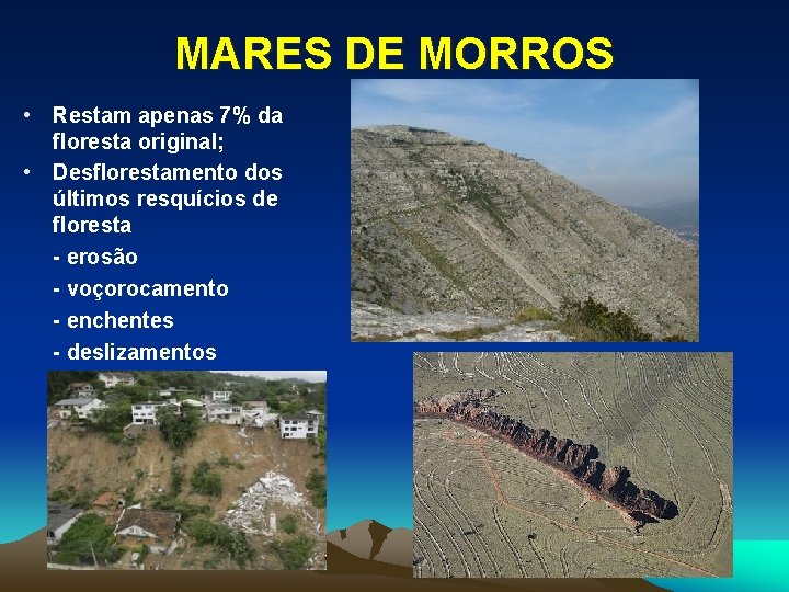 MARES DE MORROS • Restam apenas 7% da floresta original; • Desflorestamento dos últimos