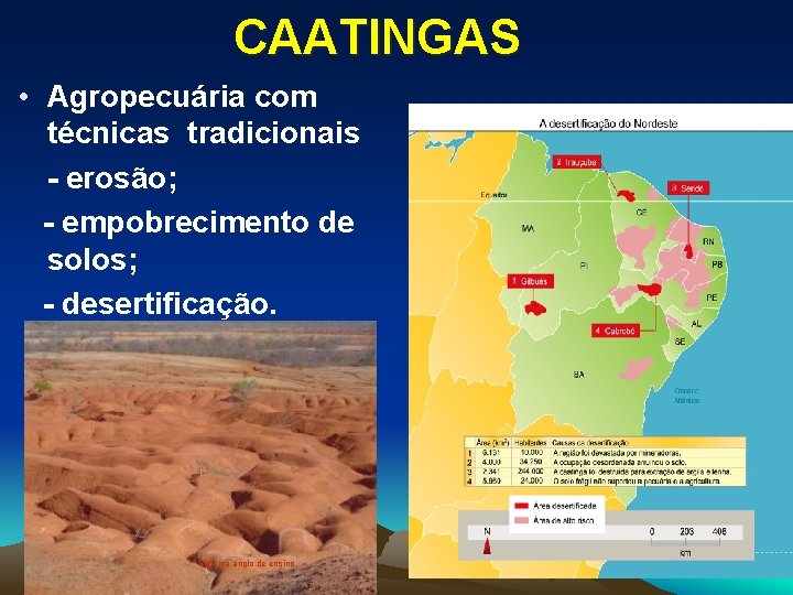 CAATINGAS • Agropecuária com técnicas tradicionais - erosão; - empobrecimento de solos; - desertificação.