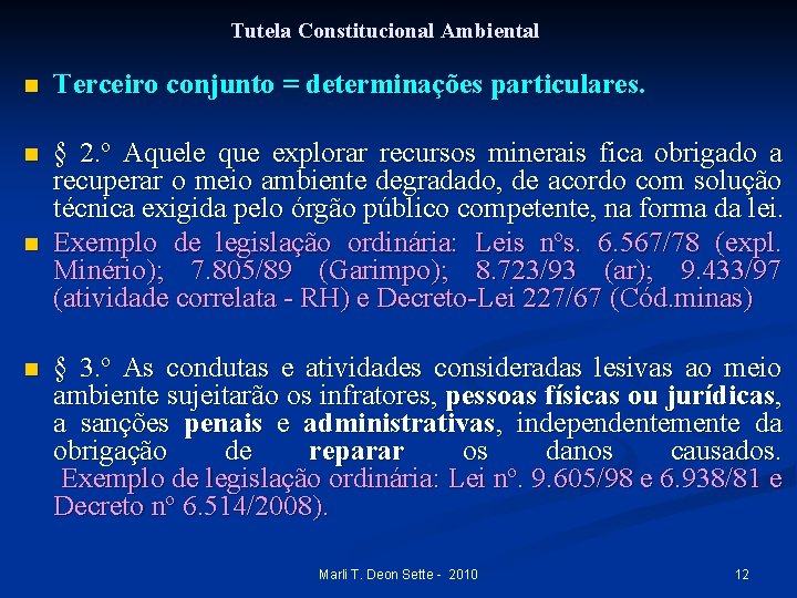 Tutela Constitucional Ambiental n Terceiro conjunto = determinações particulares. n § 2. º Aquele