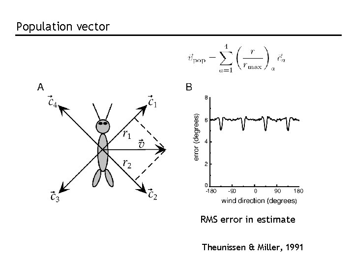 Population vector RMS error in estimate Theunissen & Miller, 1991 Population vector RMS error in estimate Theunissen & Miller, 1991