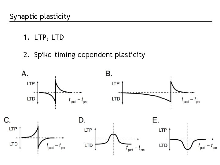 Synaptic plasticity 1. LTP, LTD 2. Spike-timing dependent plasticity Synaptic plasticity 1. LTP, LTD 2. Spike-timing dependent plasticity