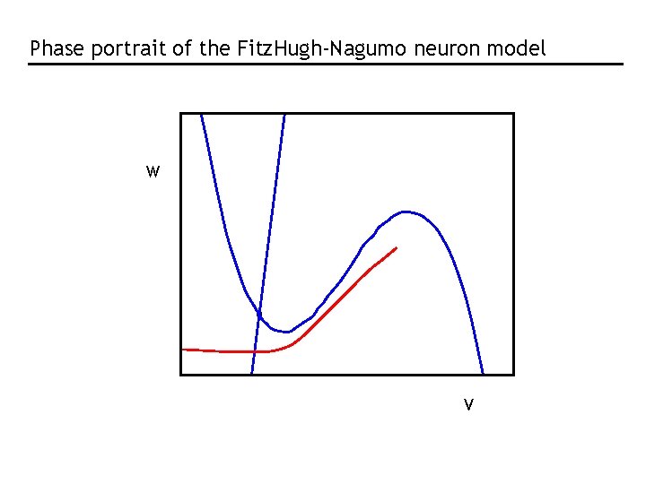 Phase portrait of the Fitz. Hugh-Nagumo neuron model W V Phase portrait of the Fitz. Hugh-Nagumo neuron model W V
