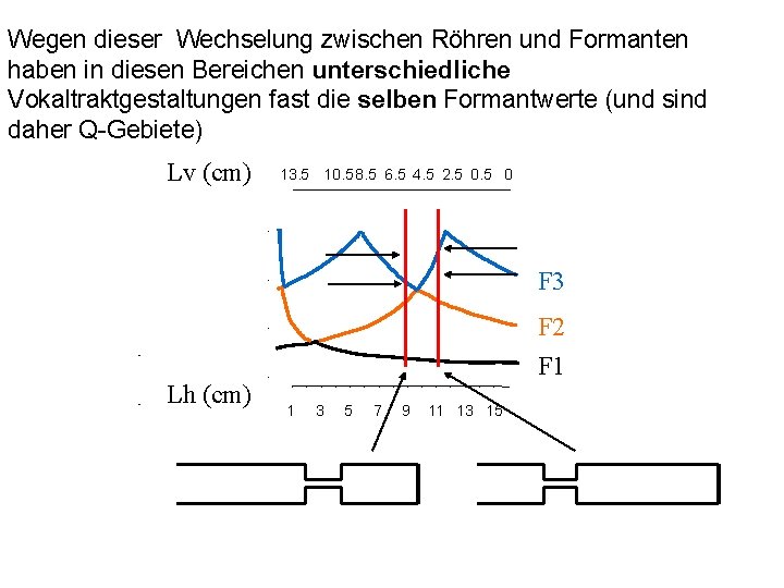 Wegen dieser Wechselung zwischen Röhren und Formanten haben in diesen Bereichen unterschiedliche Vokaltraktgestaltungen fast