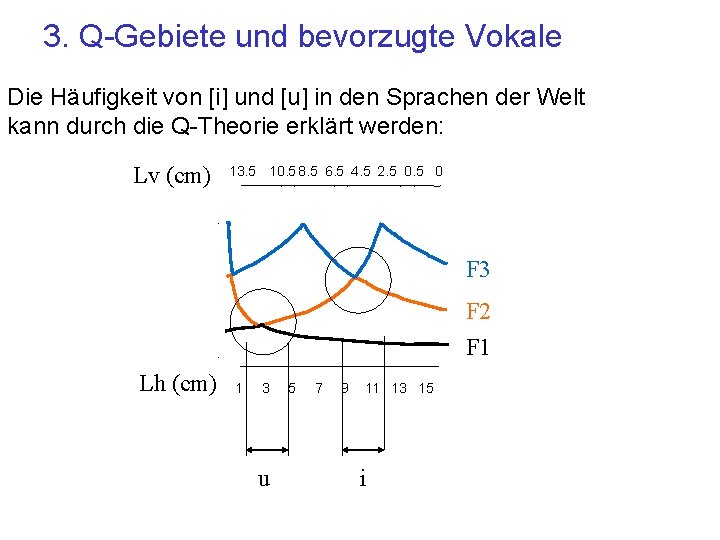 3. Q-Gebiete und bevorzugte Vokale Die Häufigkeit von [i] und [u] in den Sprachen