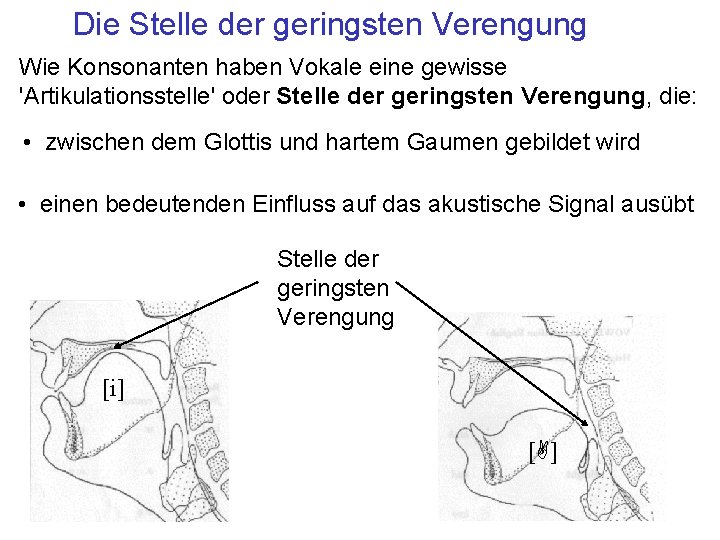 Die Stelle der geringsten Verengung Wie Konsonanten haben Vokale eine gewisse 'Artikulationsstelle' oder Stelle