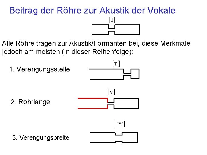 Beitrag der Röhre zur Akustik der Vokale [i] Alle Röhre tragen zur Akustik/Formanten bei,