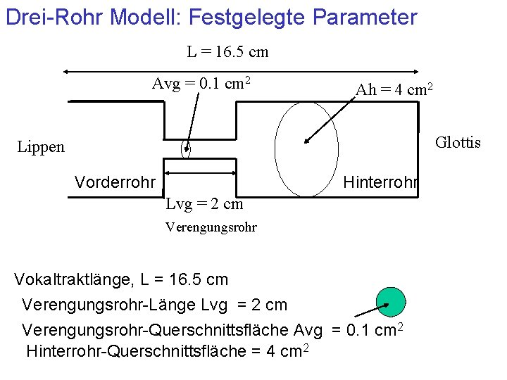 Drei-Rohr Modell: Festgelegte Parameter L = 16. 5 cm Avg = 0. 1 cm